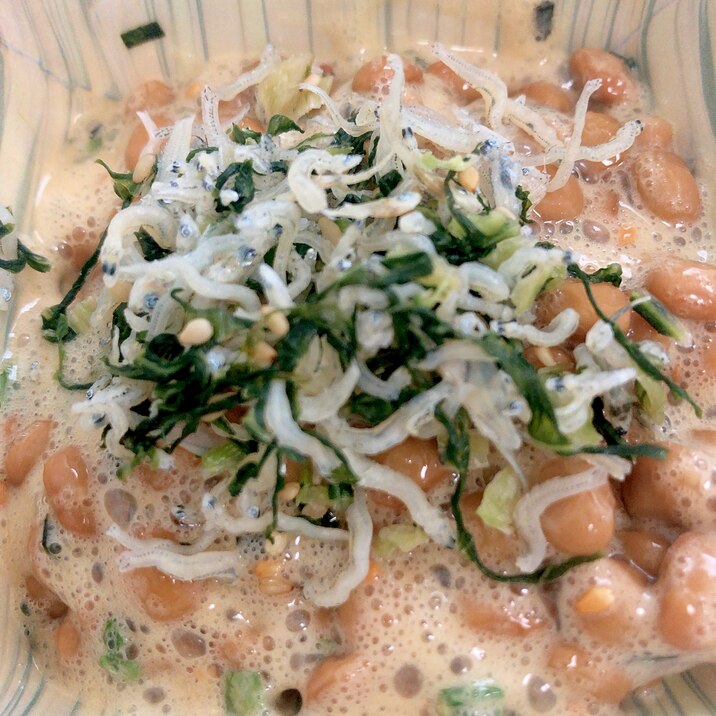 野沢菜チリメンジャコ納豆